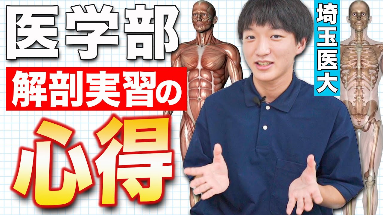 医学部生が解剖学実習のリアルをお伝えします。 - YouTube