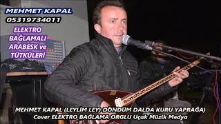 MEHMET KAPAL LEYLİM LEY DÖNDÜM DALDA KURU YAPRAĞA Cover ELEKTRO BAĞLAMA ORGLU Uçak Müzik Medya 10 Resimi