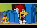 Woody Woodpecker Show | Cabin Fever | 1 Hour Compilation | Cartoons For Children