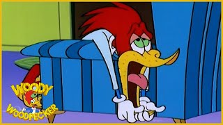 Woody Woodpecker Show | Cabin Fever | 1 Hour Compilation | Cartoons For Children