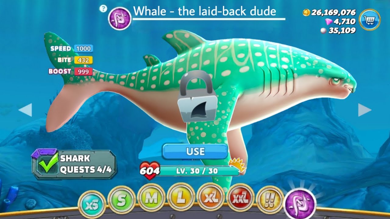 WHALE SHARK NEW CONCEPT COMING SOON? Hungry Shark World YouTube