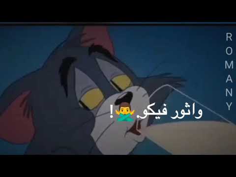 حالات واتس مهرجانات صفر الميه الحاله ضانك