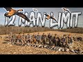 Nj goose hunt 12 man limit