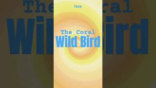 The Coral - Wild Bird #shorts #newsong