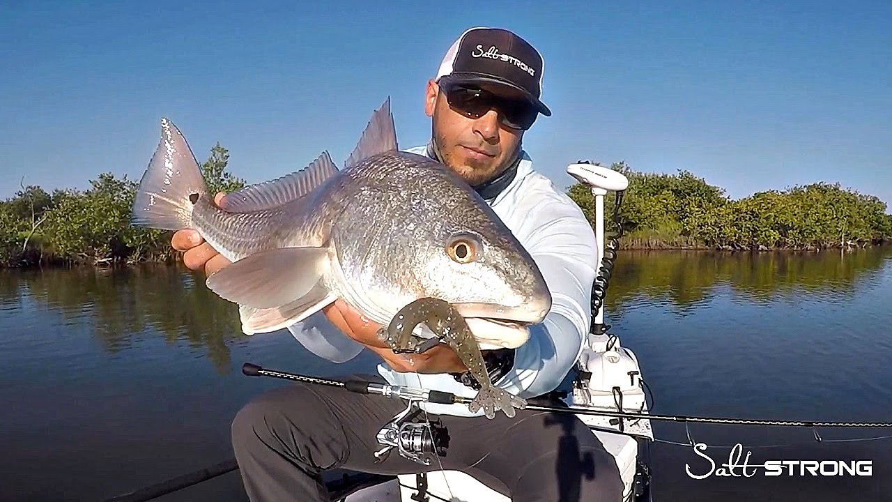 Sight Fishing Redfish With This Irresistible Shrimp Lure!!! 