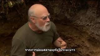 Download Lagu y2mate com   symphony of soil tDZVKMe2FTg 360p MP3