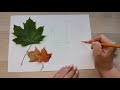 Как нарисовать кленовый лист.