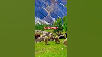 Al-Kawthar #surahkawthar #سورة_الكوثر #egzonibrahimi #lifeisbutadream #500k #1million