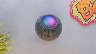 HomePod Mini Review: 1 Year Later!