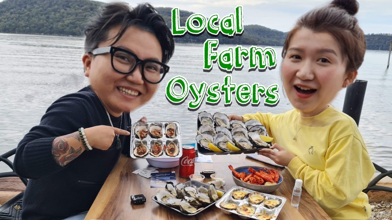 Hawkesbury River Oyster Shed Oyster Farm Tour Mooney Mooney Hào