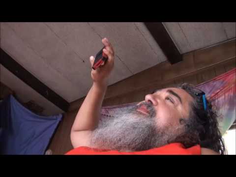 Bear Sage Phone 6 30 16
