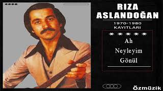 Rıza Aslandoğan - Ah Neyleyim Gönül