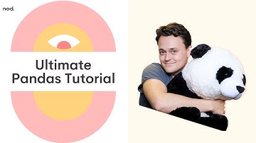 Pandas Ultimate Tutorial 2023 | Python Data Analysis