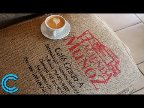 Vidéo: La plantation de café Hacienda Buena Vista à Porto Rico