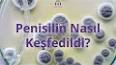 Medikal Kimyada Antibiyotikler: Penisilin'in Keşfi ve Günümüzdeki Uygulamaları ile ilgili video