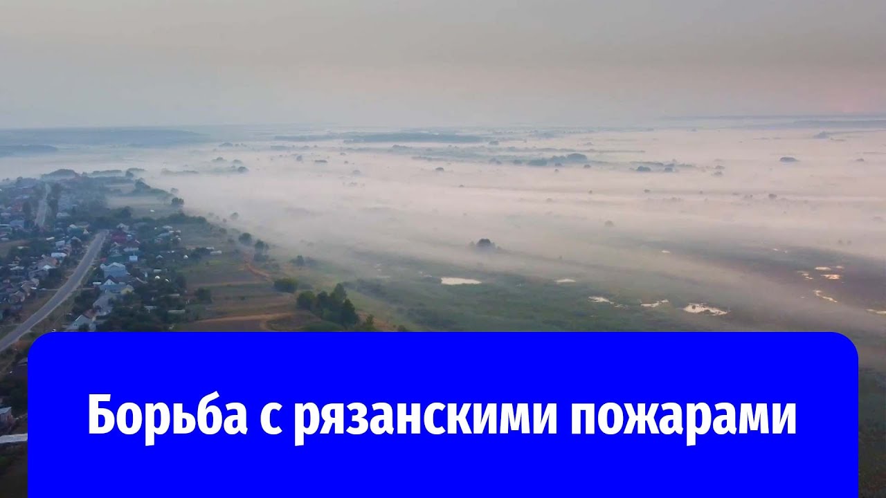 Лесные пожары в Рязанской области полностью локализованы