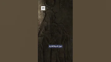 أكبر مقبرة غير ملكية في عصرها عال م مصريات يكشف أسرار مقبرة كاهنة عمرها 4000 عام 