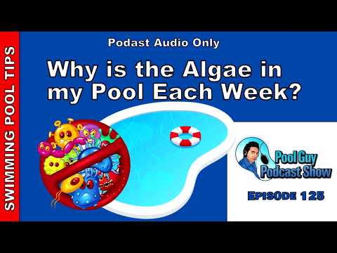 Why is there Algae in my Pool Each Week?