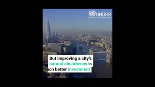 A 'sponge city' could be the solution to avoid future disasters #shorts