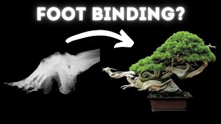 Is Bonsai Torture?  Biology of Pain