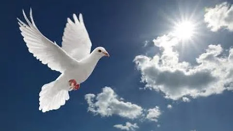 Cheryl Ralls funeral
