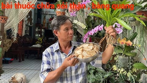 bài thuốc bí truyền đặc trị sỏi thận sỏi bàng quang cực kỳ hiệu quả sau 3 tuần 