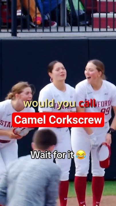 Didn't Expect a Trick Shot Pitch - YouTube