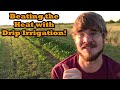 Beating the Heat with Drip Irrigation! This will be a Garden Game Changer!