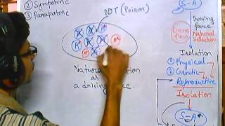 Origin of species: parapatric speciation (evolution part 7 speciation 3)