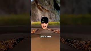 Why U S  Soldiers Shot the Ground Before Walking!