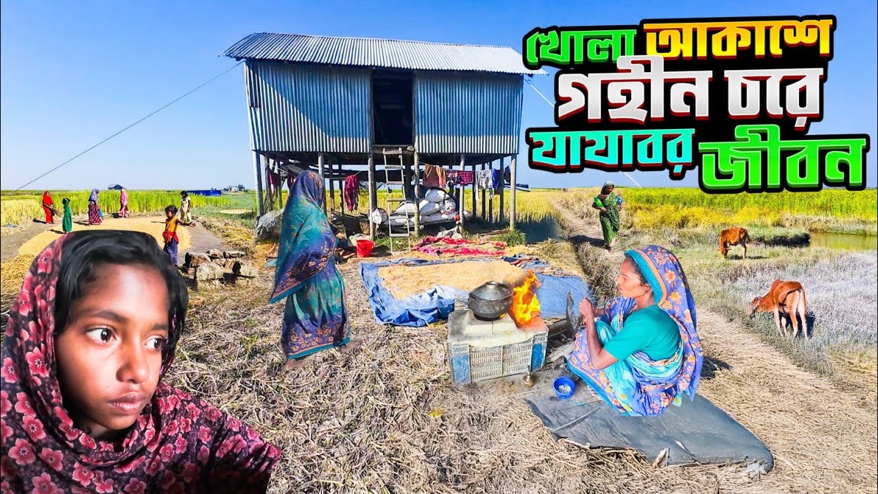 চর আব্দুল্লাহর মানুষ,মেঘনার সাথে সংগ্রাম করে বেঁচে থাকার গল্প | The story of Char people