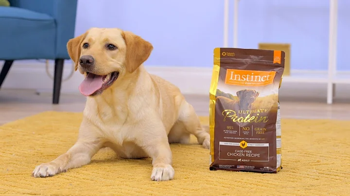 Instinct Ultimate Protein Dog Food | Chewy