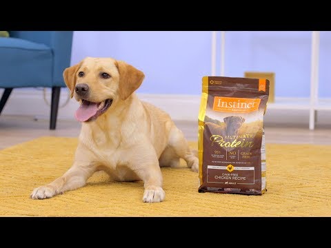 Instinct Ultimate Protein Dog Food | Chewy