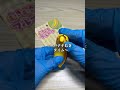 むけるフルーツ！進化したおままごとASMR