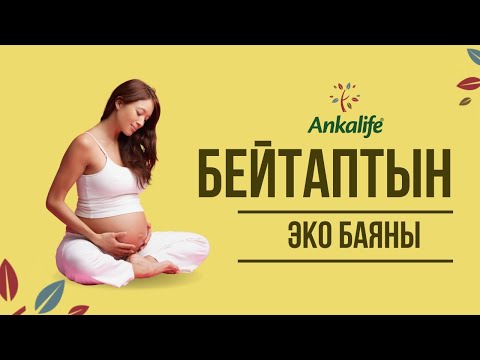 Video: Бөлүштү кантип жашырасыз?