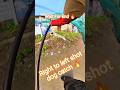 dog catch #shorts #dog #ytshorts #dogcatching #pets