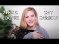 CAT CAMEO COMPILATION | The many sightings of Cooper &amp; Zeke