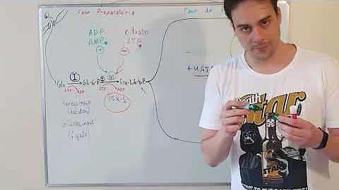 Como é feita a regulação da via Glicolitica?