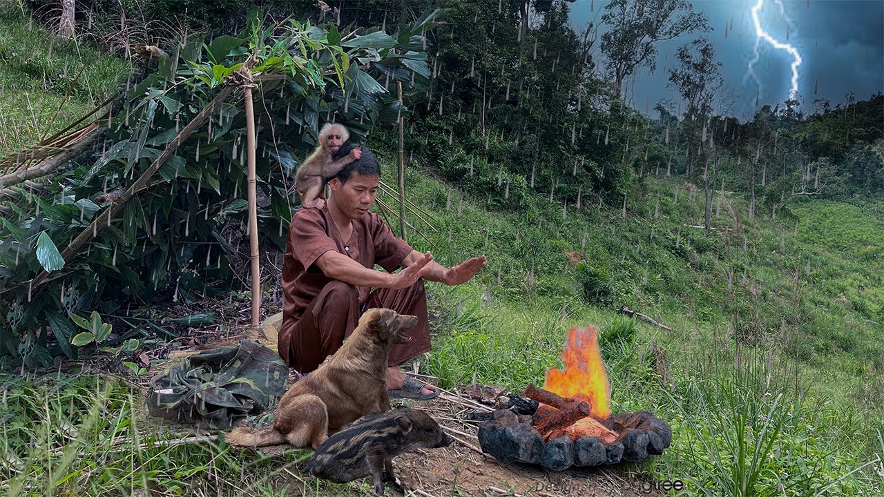 What would it be like for CEO to be isolated in the woods with dog, pig, baby monkey