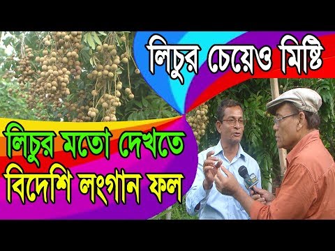 ভিডিও: ফলের স্যাপউড একটি বিপজ্জনক শত্রু