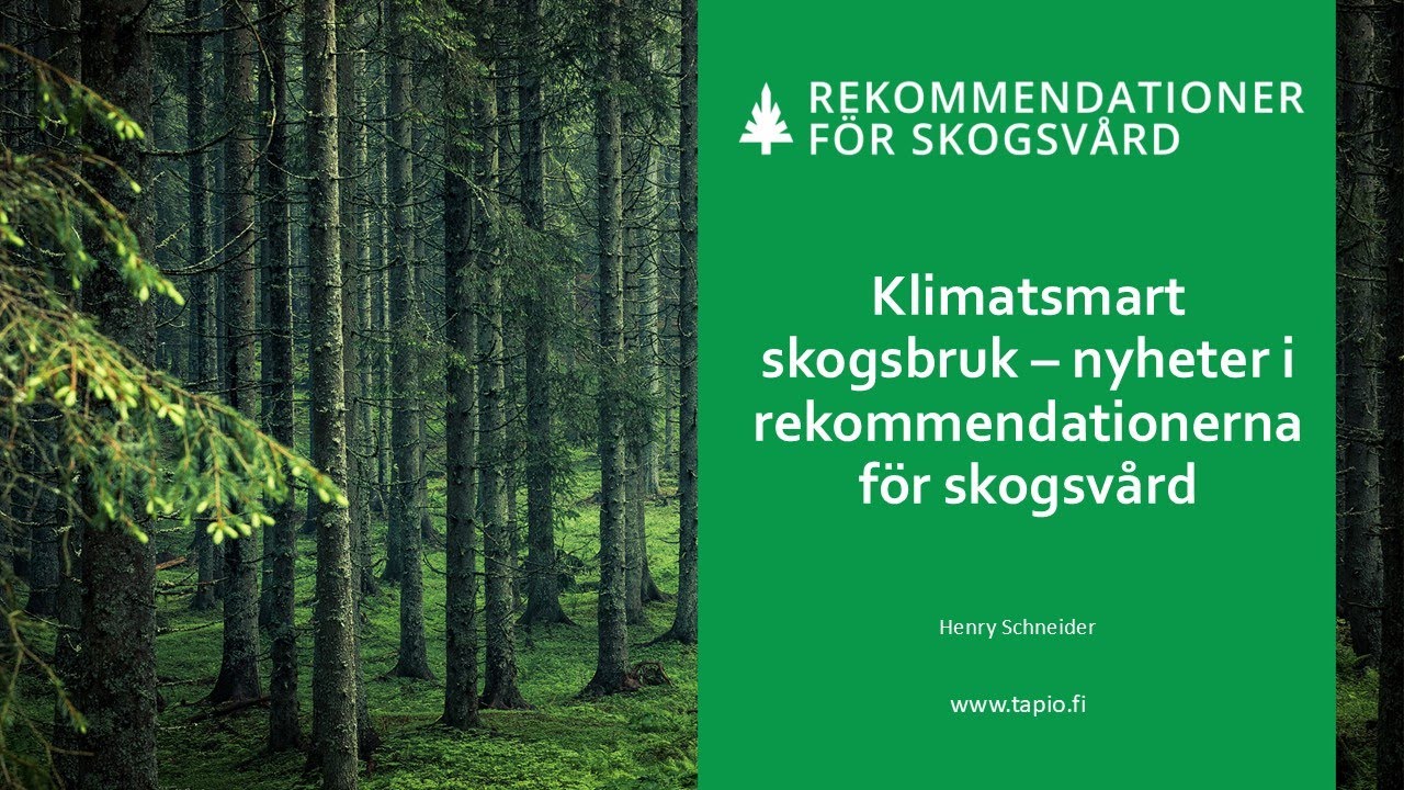 Webbinarium: Klimatsmart skogsbruk – nyheter i rekommendationerna för skogsvård 27.9.2024