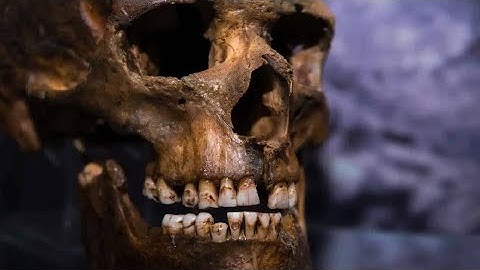300,000 Year Old Teeth: The Hybrid Ancestor Mystery!