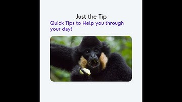 Just The Tip #mixedmediaarttutorials #tutorials #kellydonovan #knittingandthings