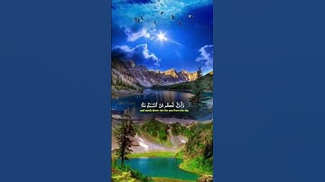 الشيخ ياسر الدوسري #إستمع إلى القرآن الكريم #لايك وإشتراك