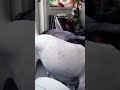 elsa elsa elsa....
