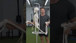 The #1 Bulgarian Split Squat Mistake (that’s costing you gains)