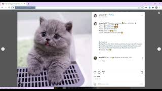 Instagram bot to scrape hashtag post details