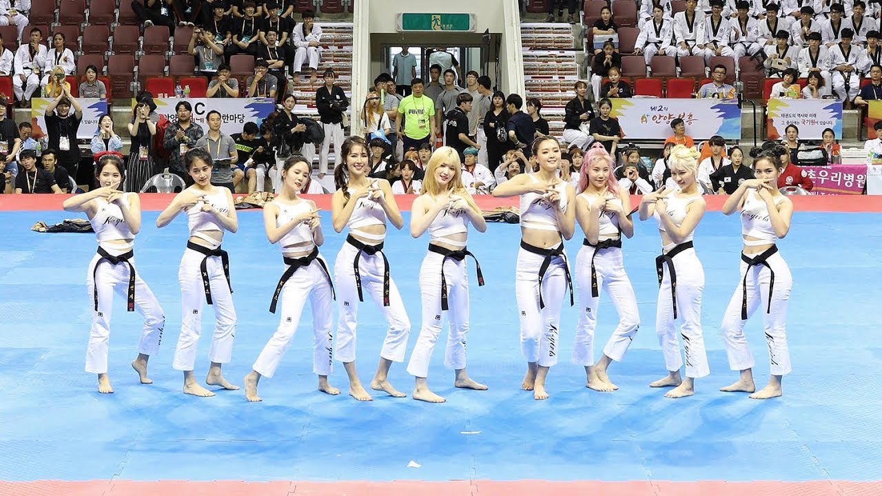 170731 [세계태권도한마당] 태권체조 시니어 부문 영상모음 (Taekwondo Aerobic Senior) 4K 직캠 by 비몽