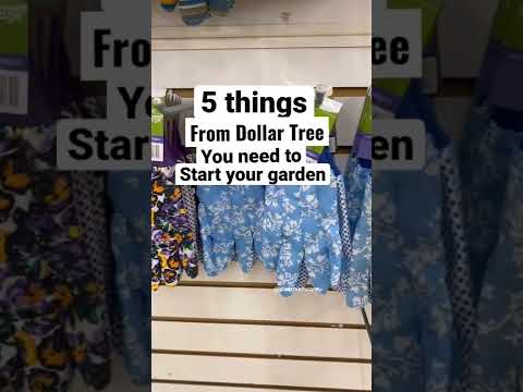 #shorts Dollar tree garden ideas for beginners | dollar tree finds for gardening #garden