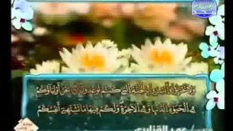 سورة فصلت كاملة الشيخ عمر القزابري.FLV